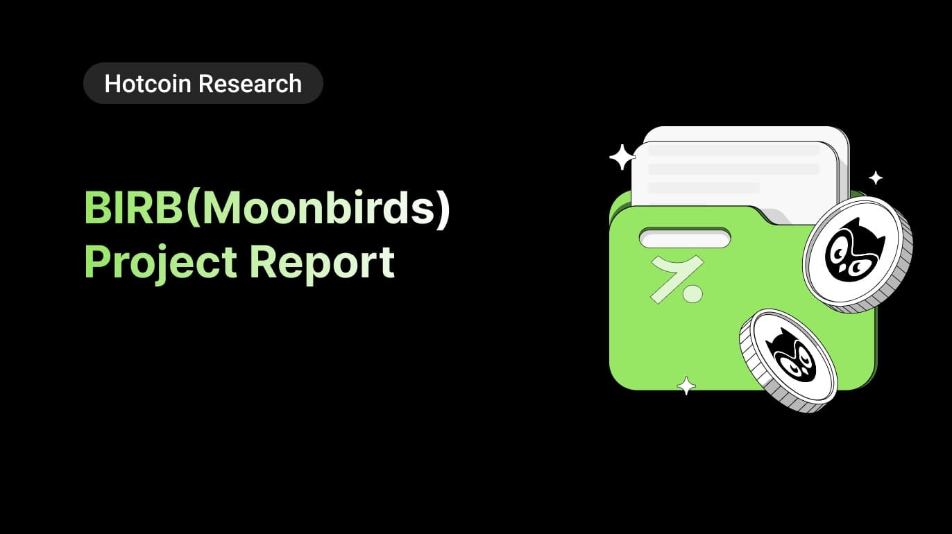 BIRB (Moonbirds) Project Report