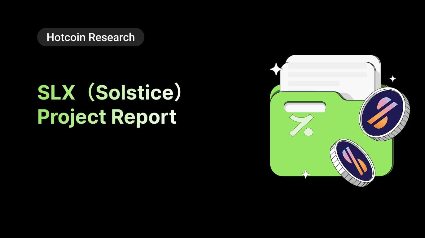 SLX (Solstice) Project Report